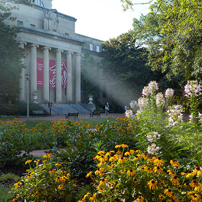 Sunbeams shining through the columns of McKissick Museum.