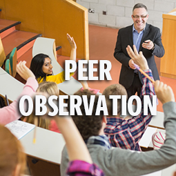 Peer Observation