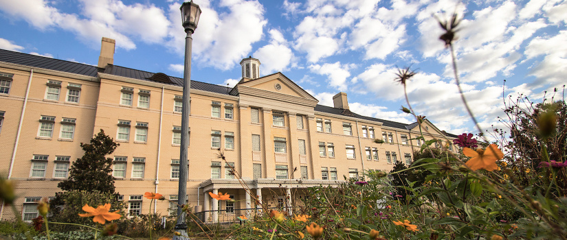 In the fore ground is yellow wild flowers that frame a five story residence hall on a sunny day.