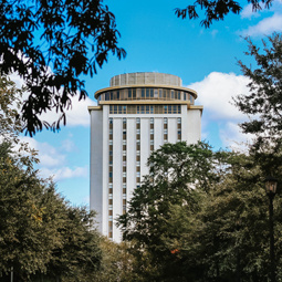 Framed by trees, Capstone Residence Hall as viewed from the heart of campus.