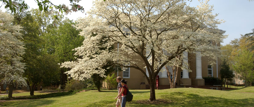 Photo of students walking on campus