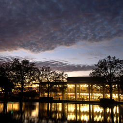 Thomas Cooper Library at night