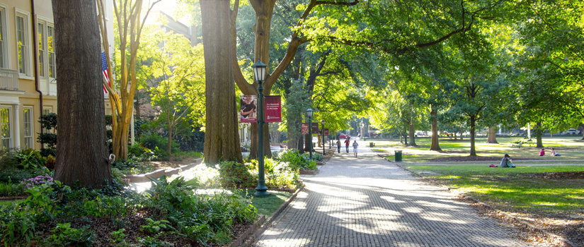 university of south carolina horseshoe