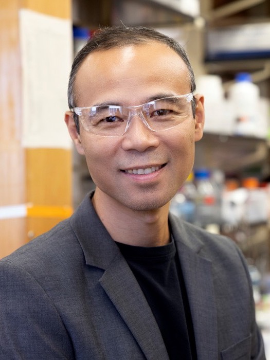 Dr. Qian Wang