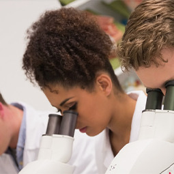 Student looking through microscope