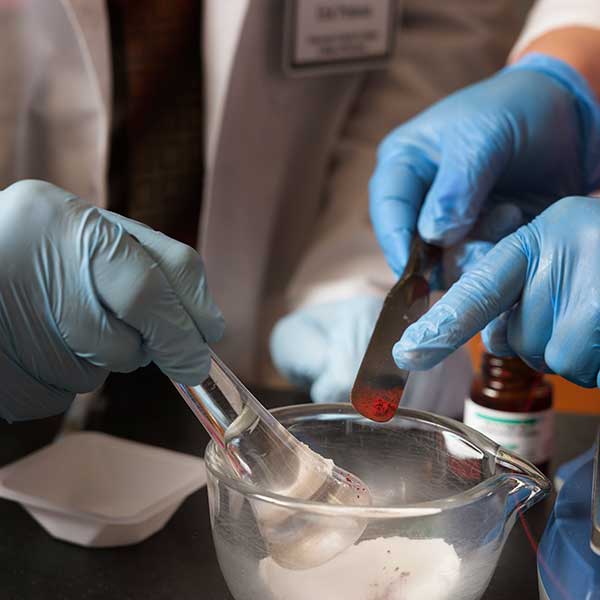 gloved hands mix ingredients with a mortar and pestle