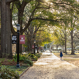 Bricks on the horseshoe with a lamp post to the left with one garnet and one black sign